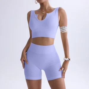 Seamless Quick Dry Yoga Set with Open Back